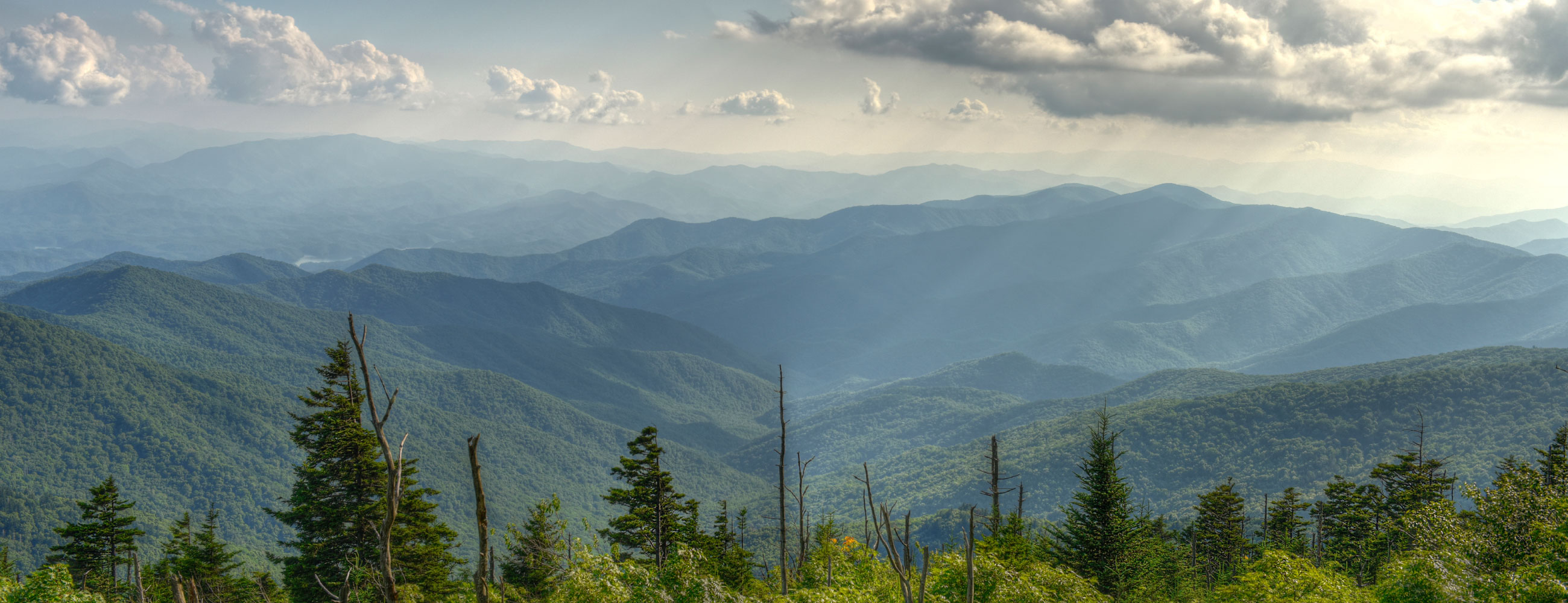 FTG General Trading LLC FTG General Trading LLC